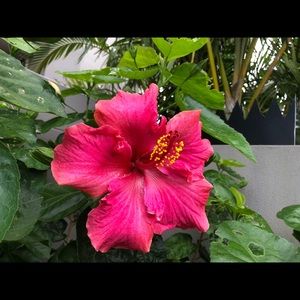 Meet your Posher, Elle